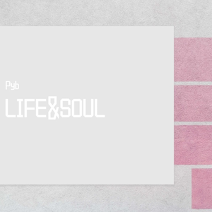 非洲黑人强奸日本熟妇
