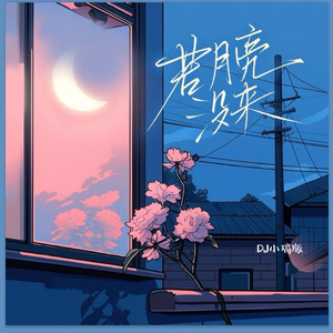 非洲黑人强奸日本熟妇
